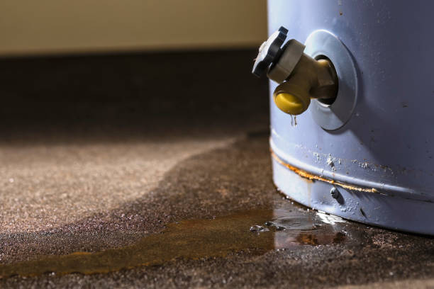 Best 24-hour water damage restoration  in Dorothy, NJ