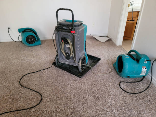 Best Commercial water damage restoration  in Dorothy, NJ