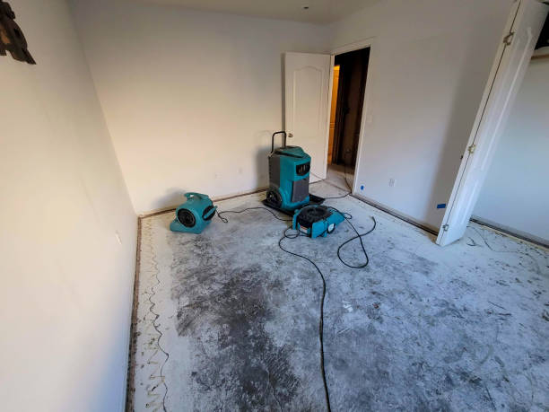 Water damage restoration insurance claims in Dorothy, NJ