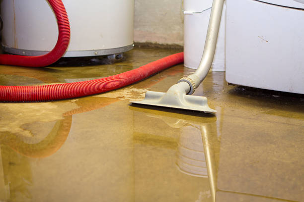 Best Basement water damage restoration  in Dorothy, NJ