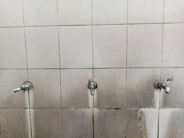 Best Water damage restoration insurance claims  in Dorothy, NJ