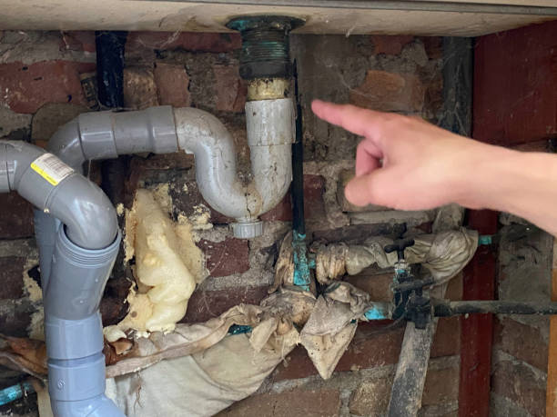 Best Water damage restoration near me  in Dorothy, NJ