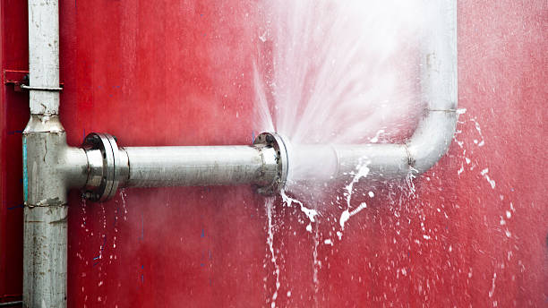 Best Ceiling water damage repair  in Dorothy, NJ