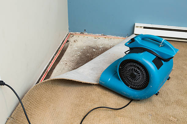 Best 24-hour water damage restoration  in Dorothy, NJ